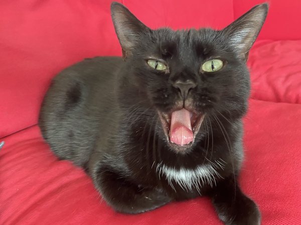 To see how quickly we can fill up this thread?