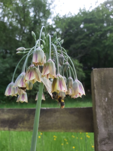 Can anyone identify this for me please?