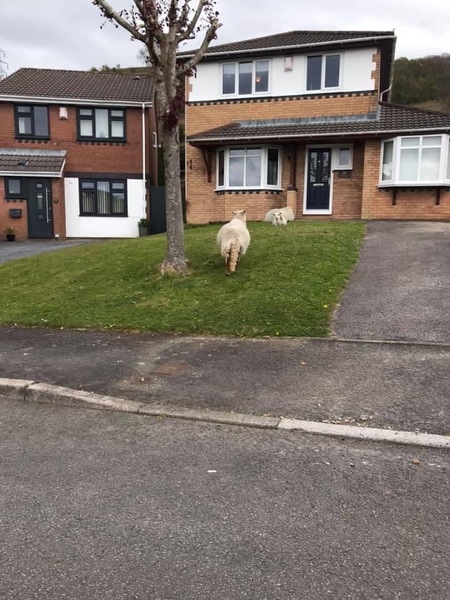 To ask what's occurring in your local Facebook group?