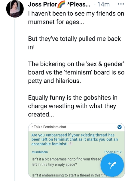 Come on over the feminist chat - there are no guidelines there