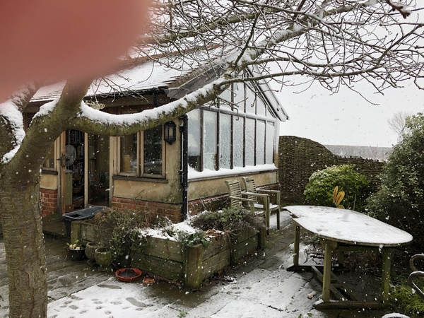 If you have a south facing conservatory that is actually usable...