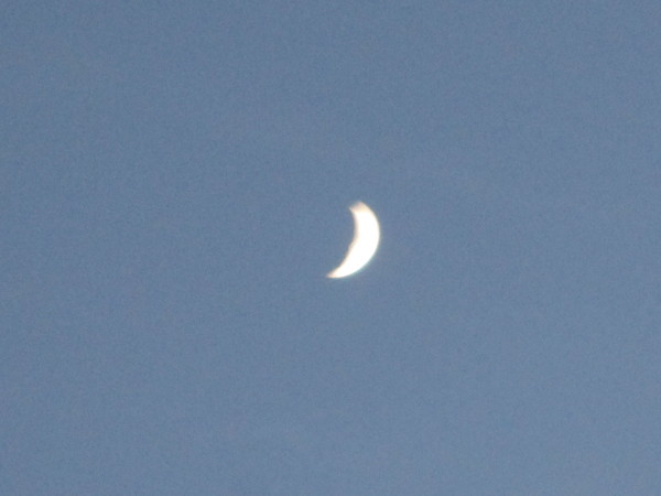 Any Witches Here? Part 14.