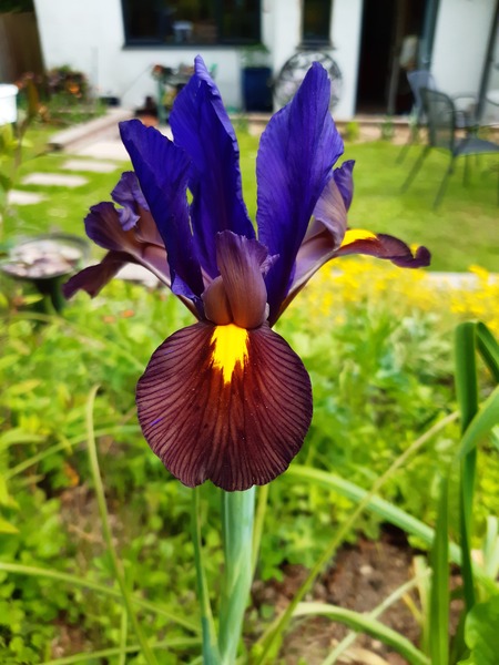 Week 8 - Leaving Lockdown Low Carb Bootcamp