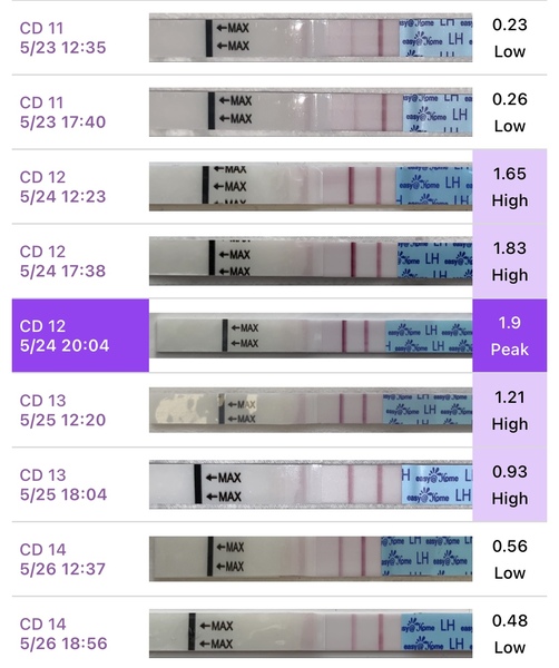 Clomid journey thread 2!