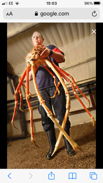 Animals that are...creepy...