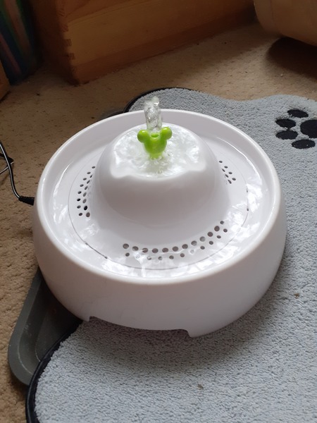 Cat water fountain recommendations