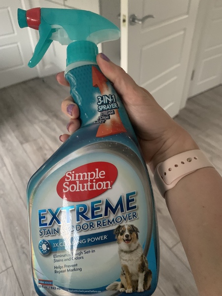 Help - toilet training regression at 14 weeks!