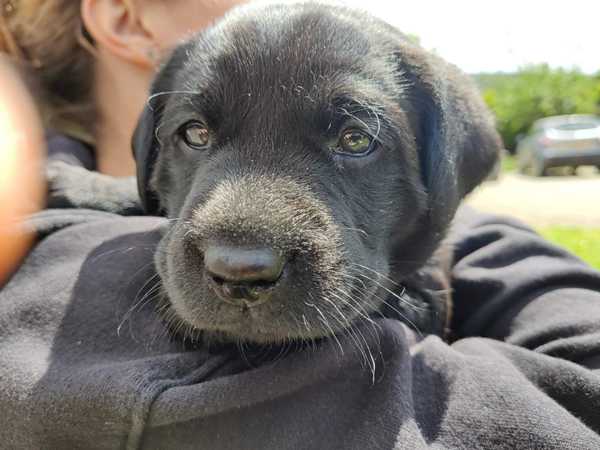 Knit, Crochet and Natter 5 - the roadmap to MORE YARN!