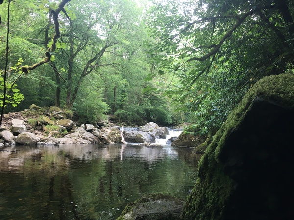 Any Witches Here? Part 14.