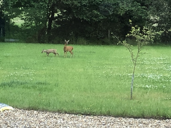 One project a day- 2nd thread!