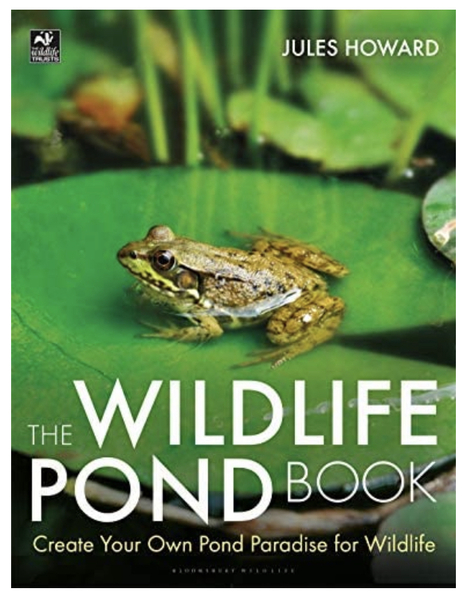 Tell me your pond mistakes.