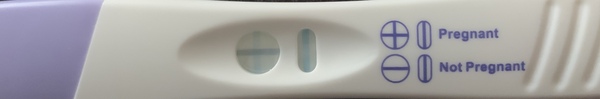 11 days late -BFN! Please someone give me a success story.