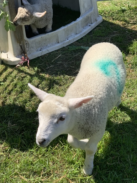 Knit, Crochet and Natter 5 - the roadmap to MORE YARN!