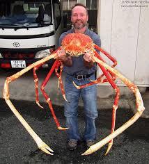 Animals that are...creepy...