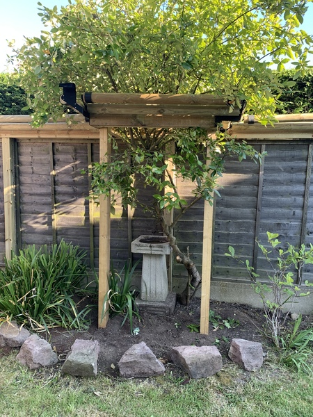 Escaping Cat Proofed Garden