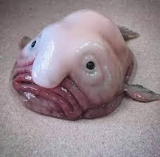 Animals that are...creepy...