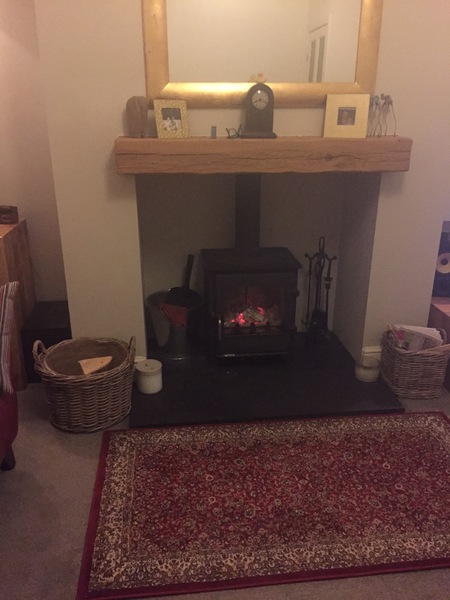 How much did you pay for a wood burning stove?