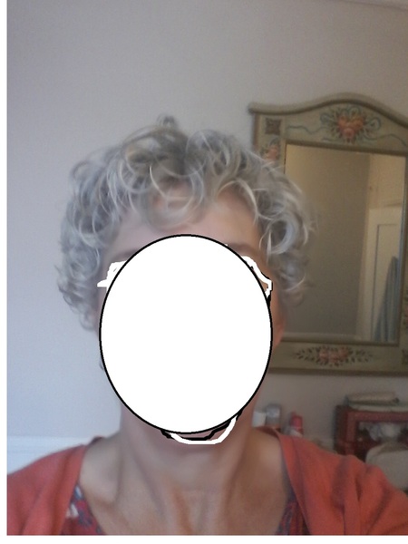 Please help me improve my hair - Curly Girl method?