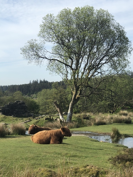 Nature appreciation thread