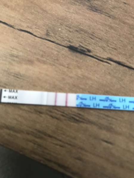 3dpo, 1st cycle. TWW with me?