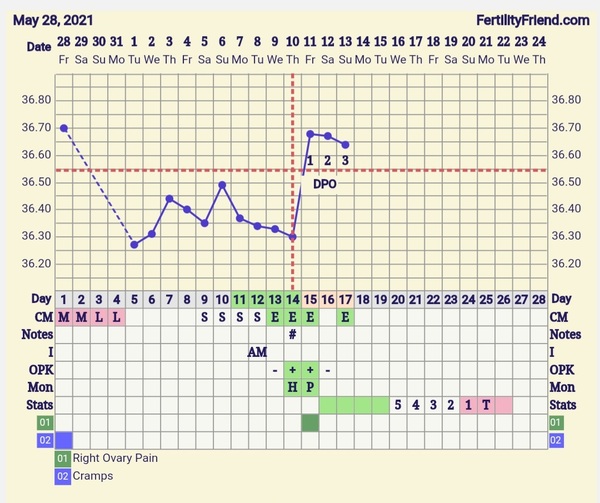 9DPO Symptom Spotting