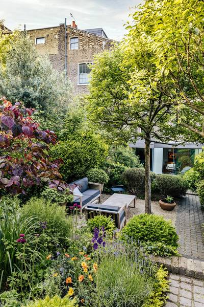 Help with trees for garden - dont want to make mistakes