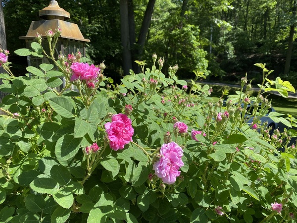 Come and tell me your dull and unexciting news 15: Calmly through the day