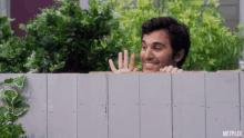 Just checking what I can actually do in my garden