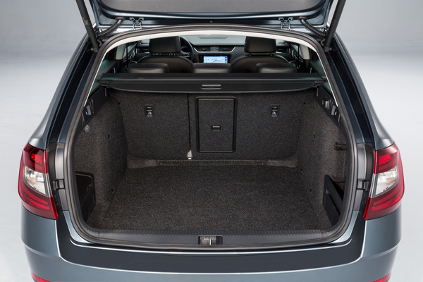 Car seat help for big 3 year old