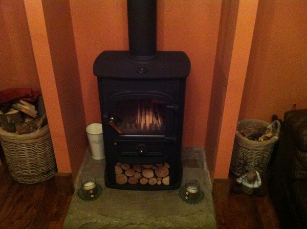 How much did you pay for a wood burning stove?