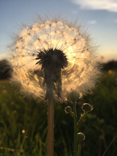 Nature appreciation thread