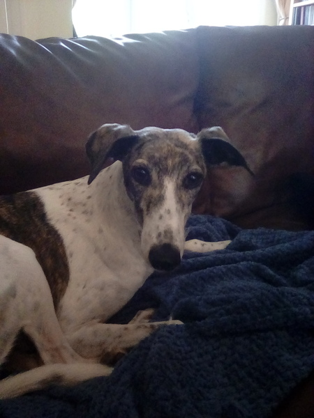 I know everything about you. AMA