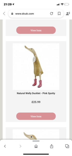 To ask you to help me find this wooden duck :(