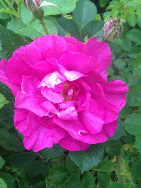 Show Us Your Pictures 4