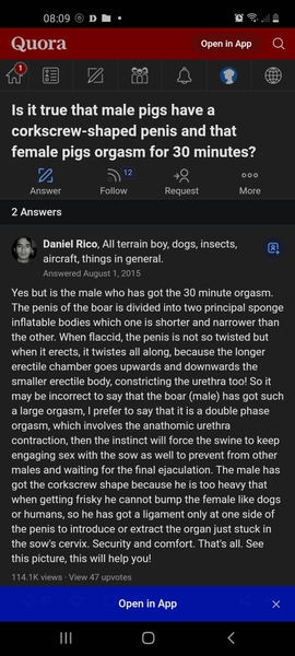 To see how quickly we can fill up this thread?