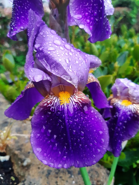 Week 8 - Leaving Lockdown Low Carb Bootcamp