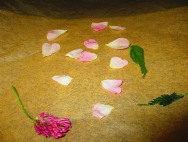 Any Witches Here? Part 14.