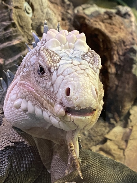 Frugaleers MayBee just MayBee