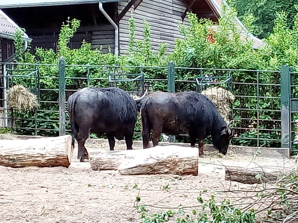 Come and tell me your dull and unexciting news 15: Calmly through the day