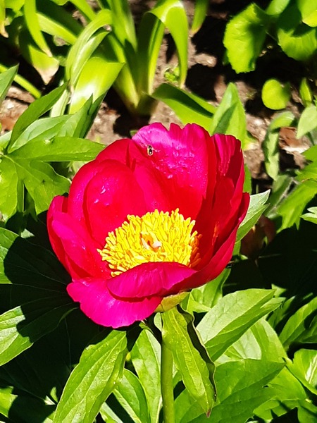 Week 8 - Leaving Lockdown Low Carb Bootcamp