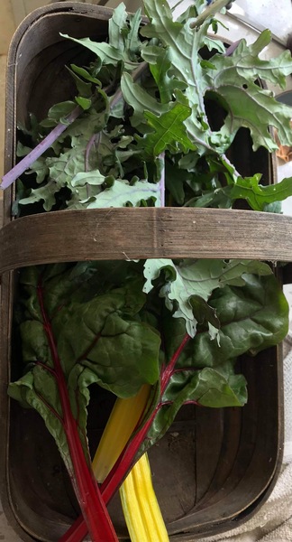 Why We Eat (Too Much) Thread 2