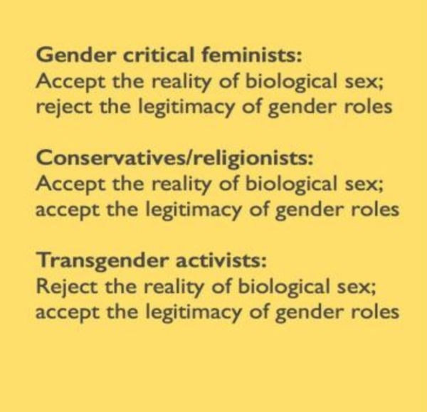 Why conflate 'Gender Critical' and belief in immutable sex?