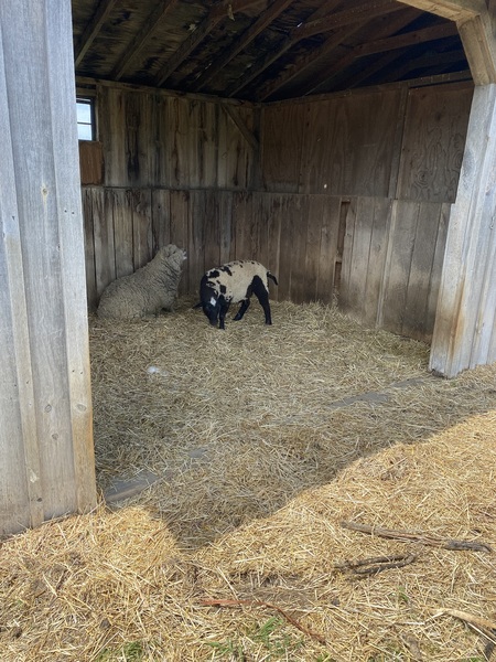 Come and tell me your dull and unexciting news 15: Calmly through the day