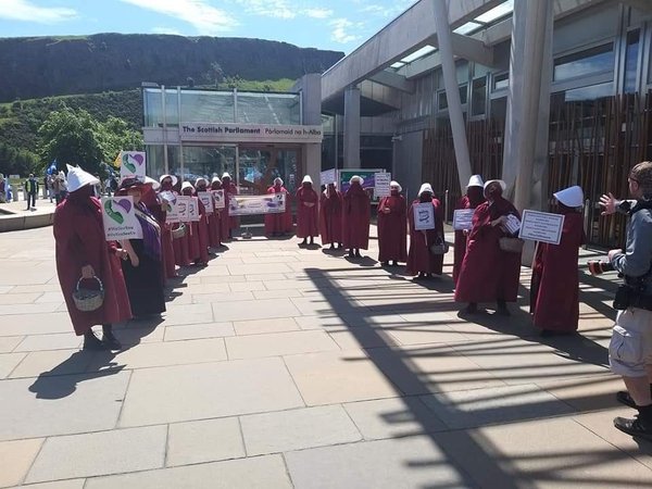 To really want a handmaid costume?