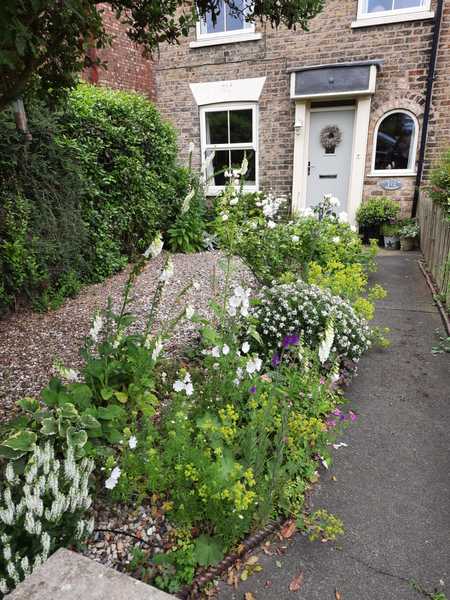 Back garden / yard ideas....