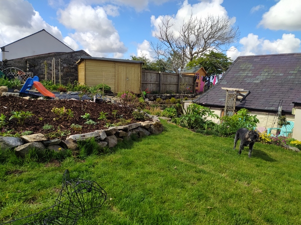 Turning uneven nettle-covered ground into usable toddler-friendly garden asap