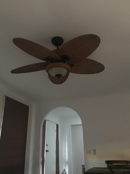 Is it possible to have a ceiling fan that doesn't look as though you're decor is stuck in the 80's?
