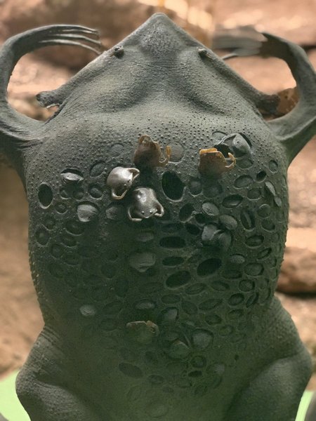 Animals that are...creepy...