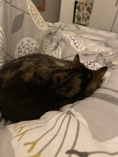 Frugaleers MayBee just MayBee