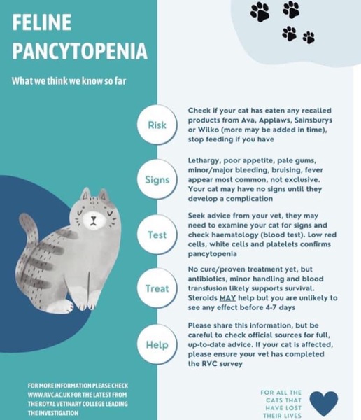 Warning - Cat food recall linked to 209 deaths - details here